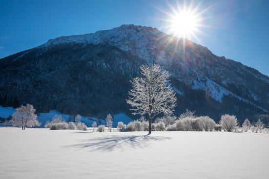 Blick auf den Rauschberg